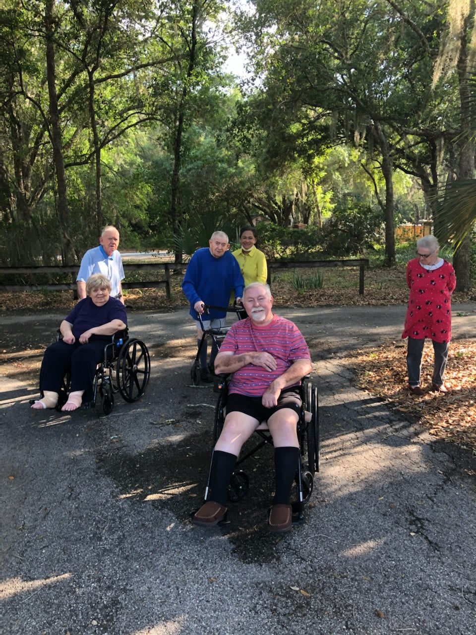 A group of people enjoying the outdoors, with some in wheelchairs, surrounded by trees and sunlight.