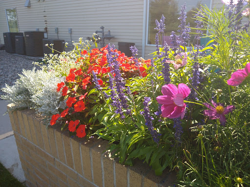A vibrant display of flowers in a sunny garden setting.