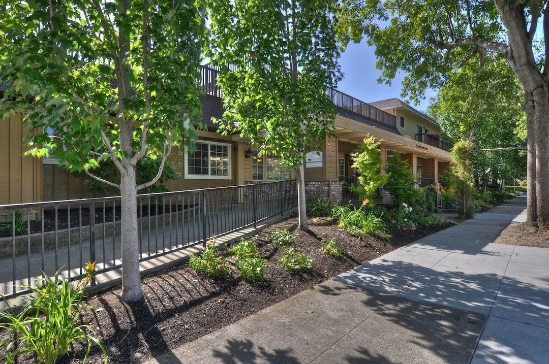 A residential building surrounded by trees and a well-maintained sidewalk.