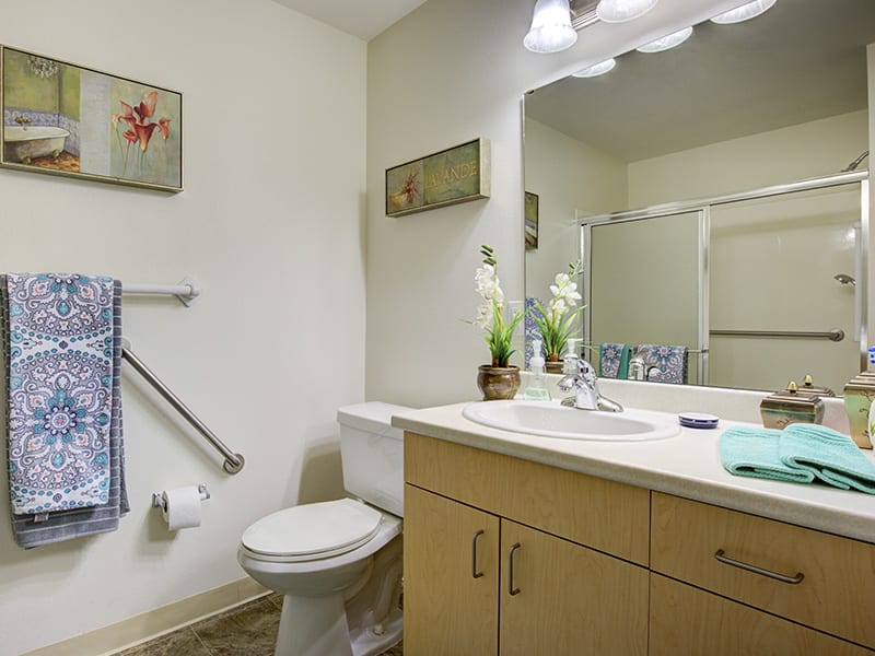 A clean and tidy bathroom featuring a vanity with a mirror, toilet, handrail, and decorative elements.