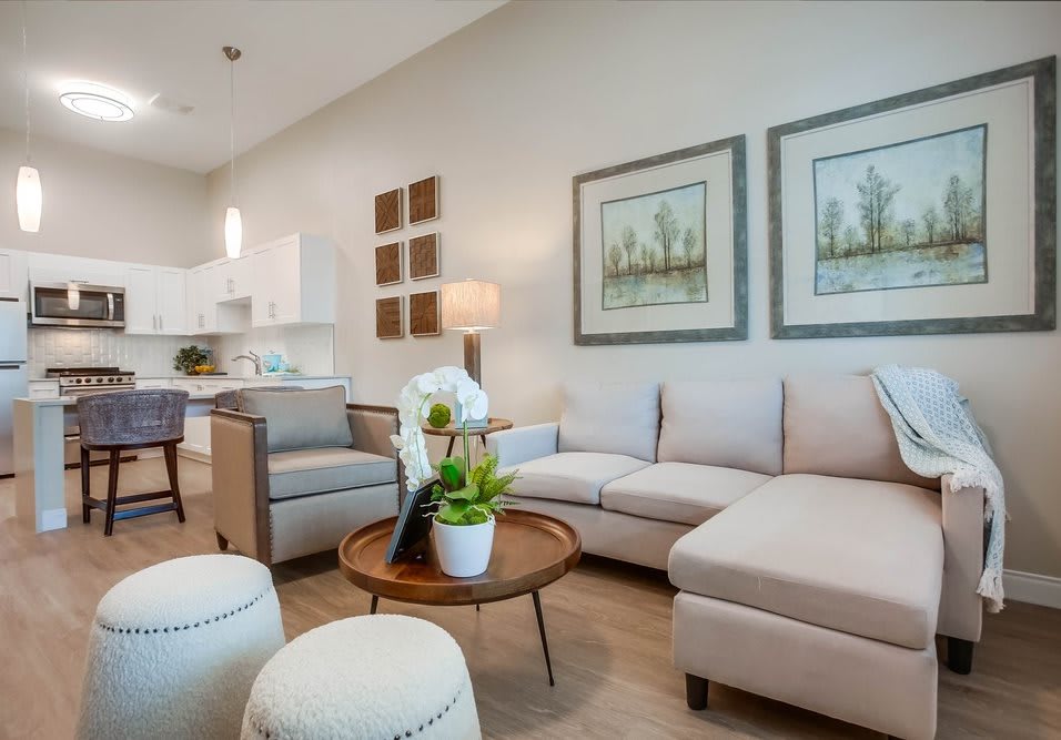 A modern living room with comfortable seating, stylish decor, and soft lighting.