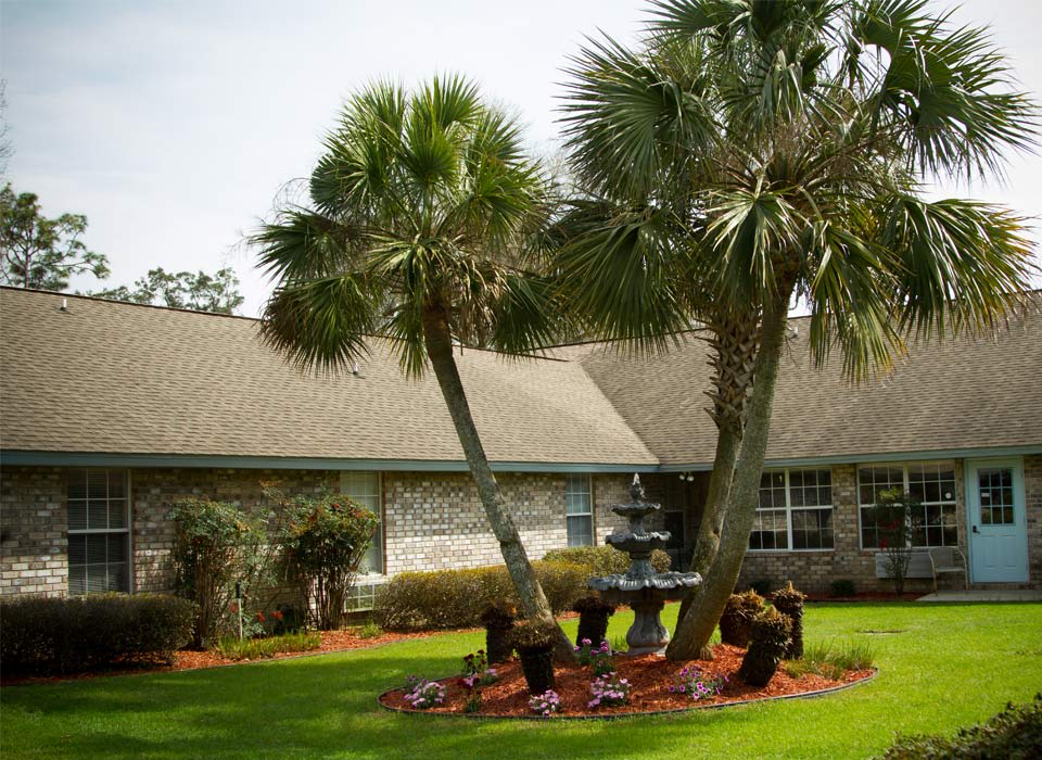 A well-manicured lawn with palm trees in front of a residential house.