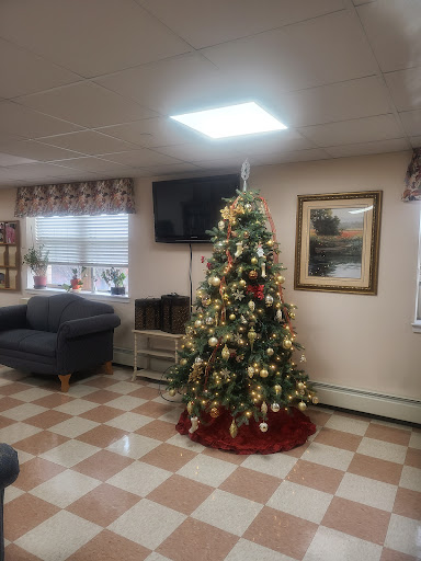 A cozy living room decorated for the Christmas season, featuring a beautifully adorned Christmas tree.