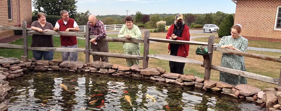 A group of people enjoying a peaceful moment by a koi fish pond.