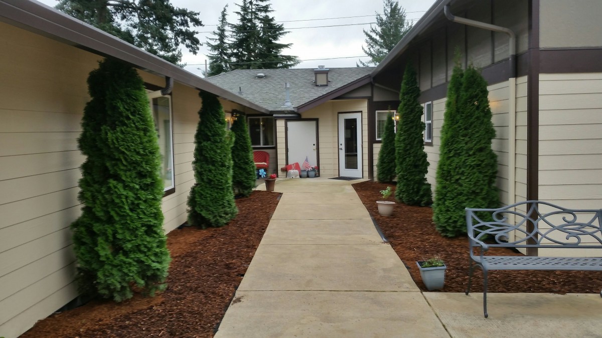 A nicely landscaped courtyard with a central pathway flanked by small trees leading to a building.