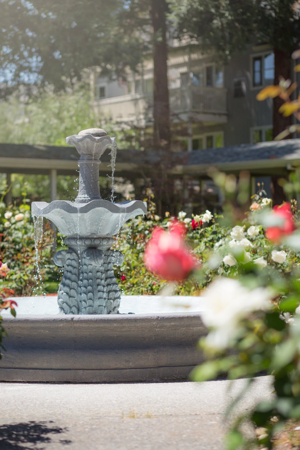 Cogir of Rohnert Park Senior Living
