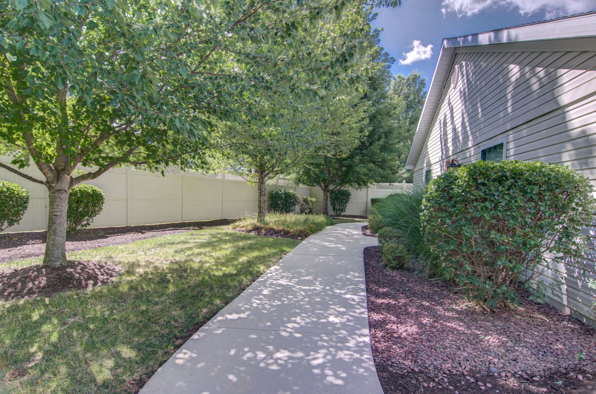 A sunny sidewalk lined with trees and bushes leading to a house.