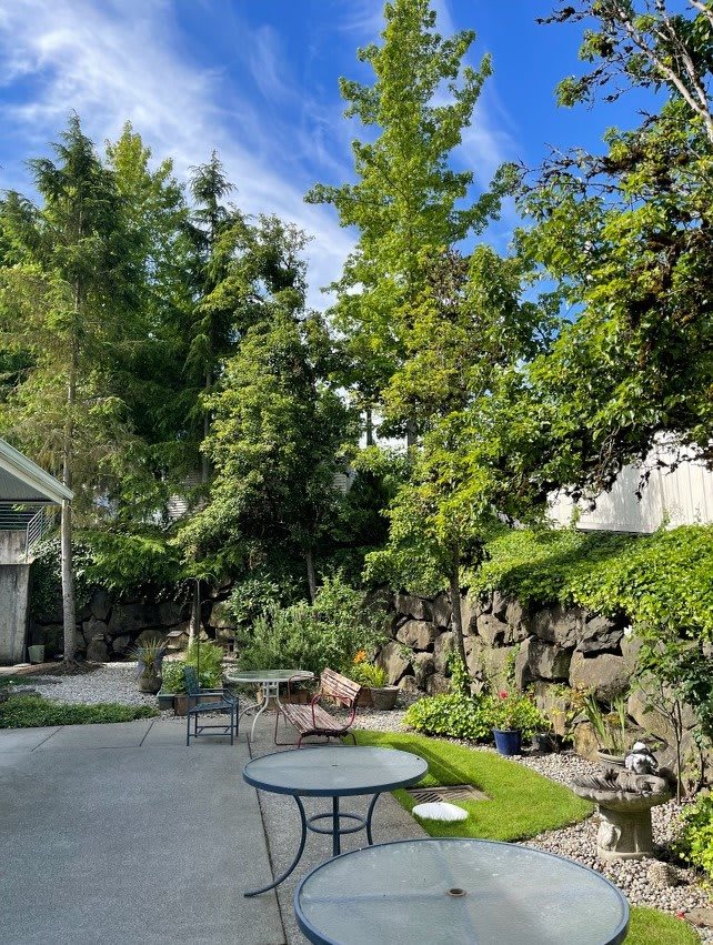 A serene garden with lush greenery, featuring tables and chairs under a clear blue sky.