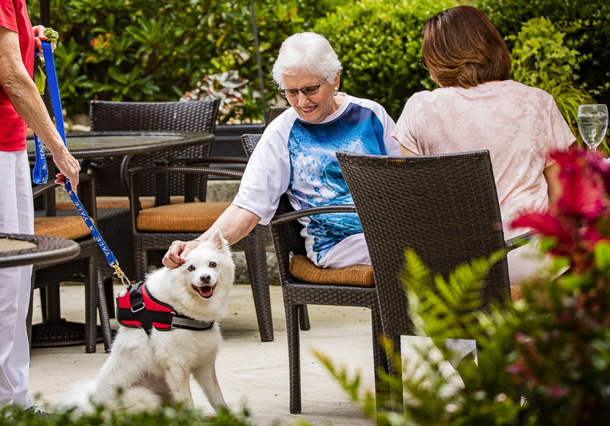 An elderly person enjoying the company of a dog while sitting outdoors with another person.