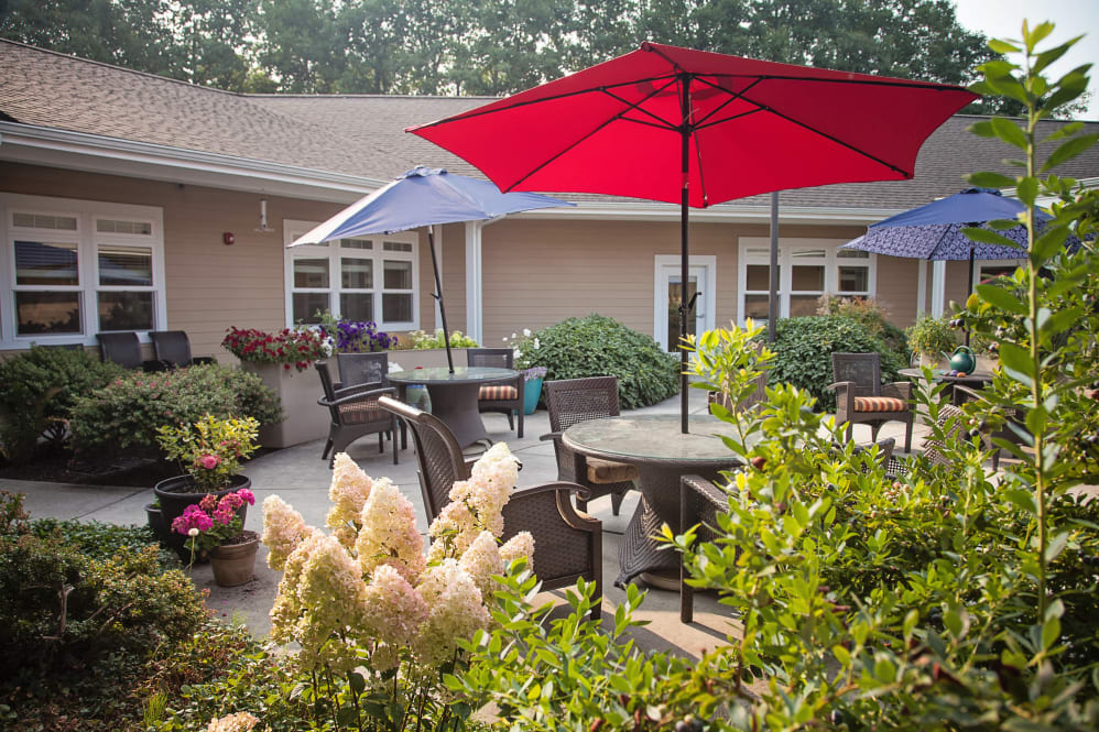 A cozy outdoor patio with tables and colorful umbrellas, surrounded by lush green plants and blooming flowers.
