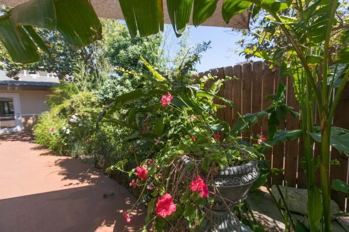 A lush garden with vibrant flowers and rich green foliage basking in sunlight.