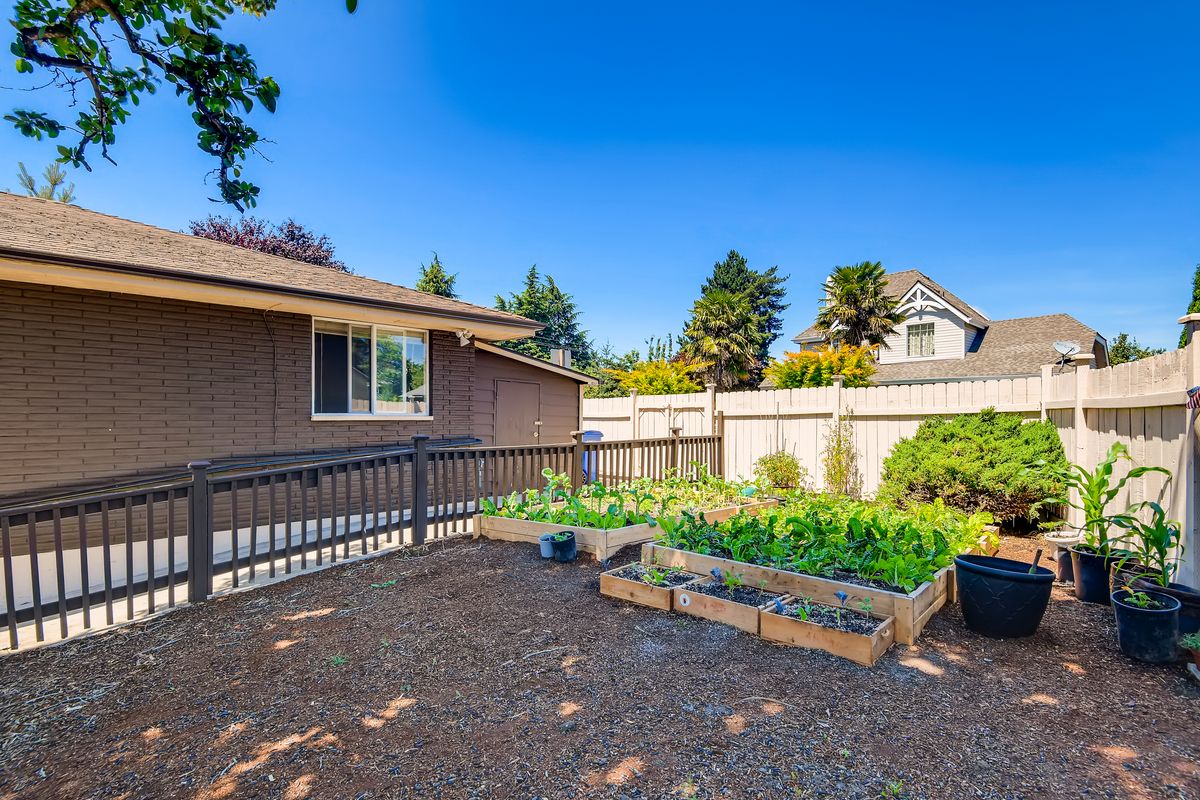 A spacious backyard featuring a vegetable garden with raised beds, surrounded by a fence and bordered by trees on a sunny day.