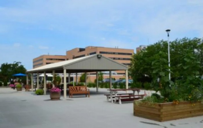An outdoor seating area with a pergola and benches surrounded by plants.