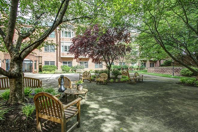 A peaceful courtyard with benches shaded by trees.
