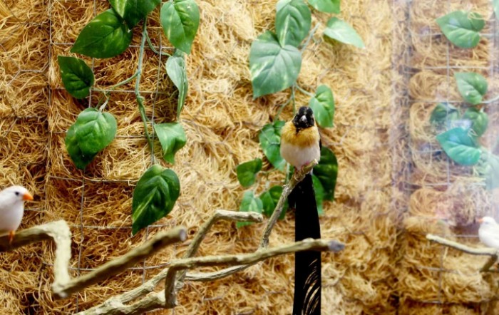 A small bird perched on a branch surrounded by green leaves.