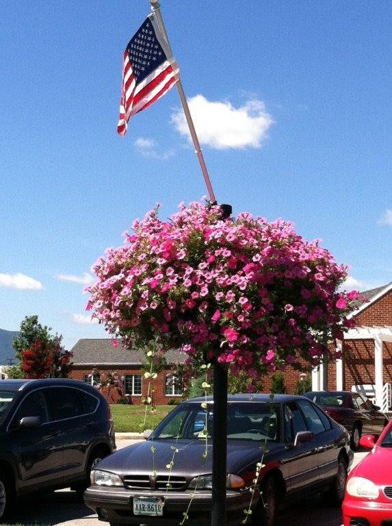 A hanging basket of pink flowers beneath an American flag in a parking lot on a sunny day.