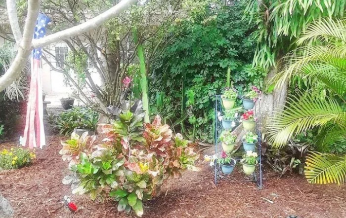 A vibrant garden with various potted and planted greenery.