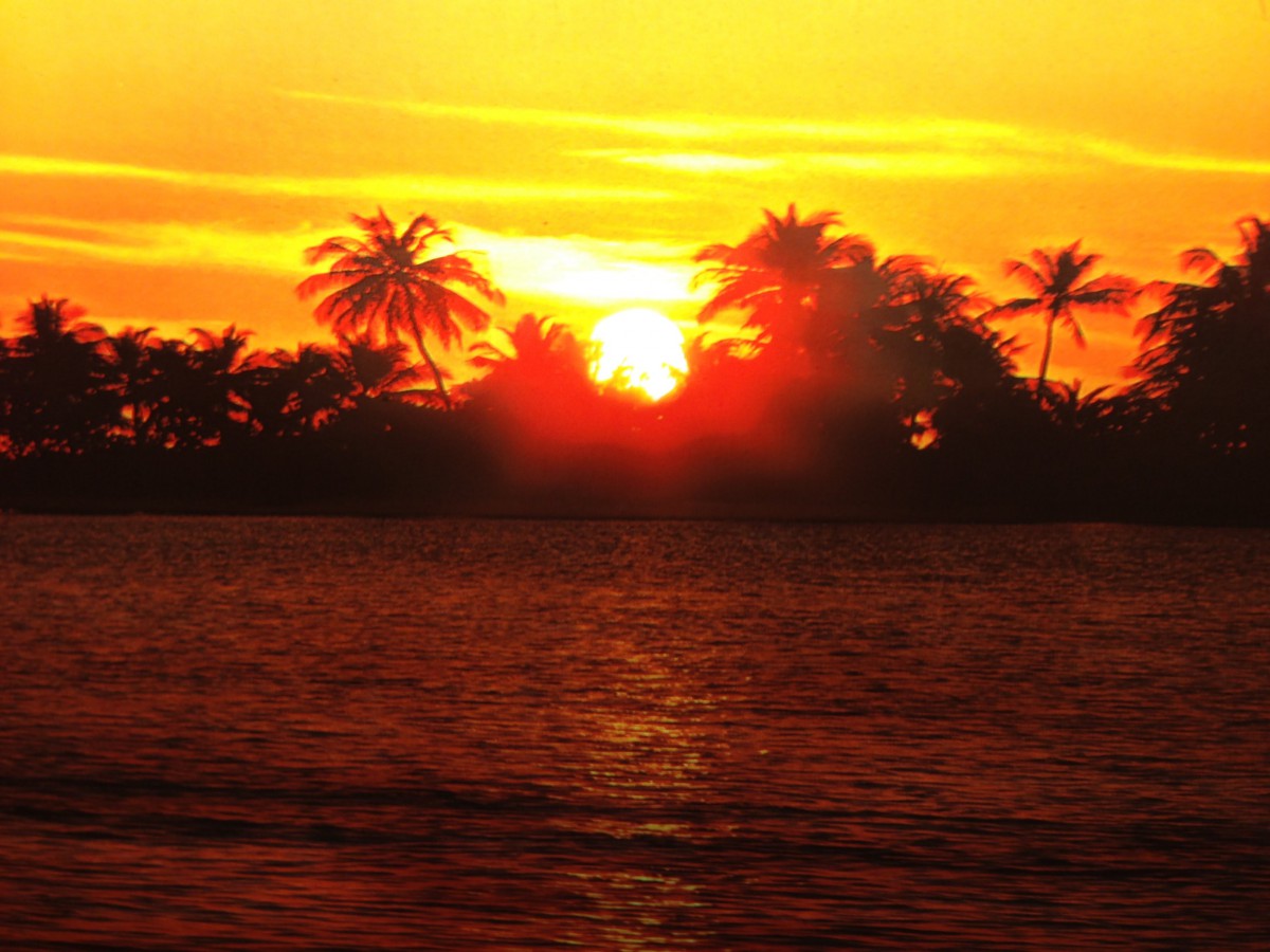 An Oasis of Hope,  LLC