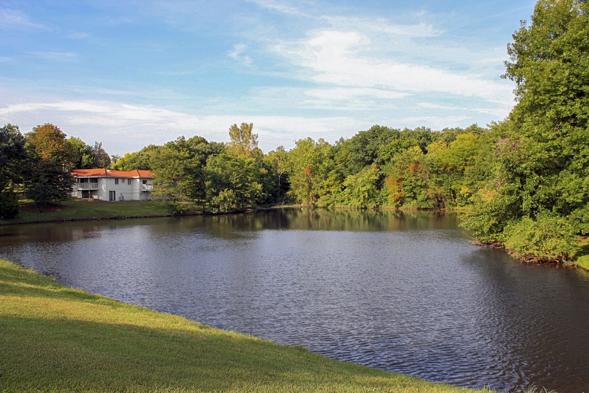 A serene lakeside scene with a building and trees under a blue sky.