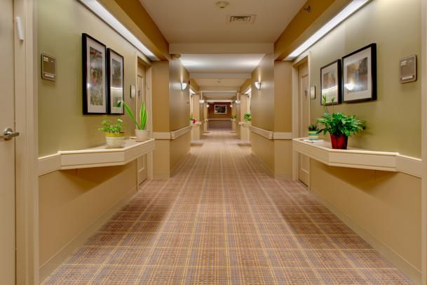 A well-lit hallway with carpeted flooring and decorative indoor plants along the sides.