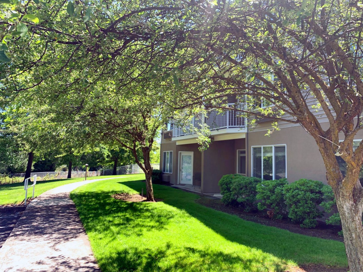 A sunlit apartment building surrounded by lush greenery and a pathway.