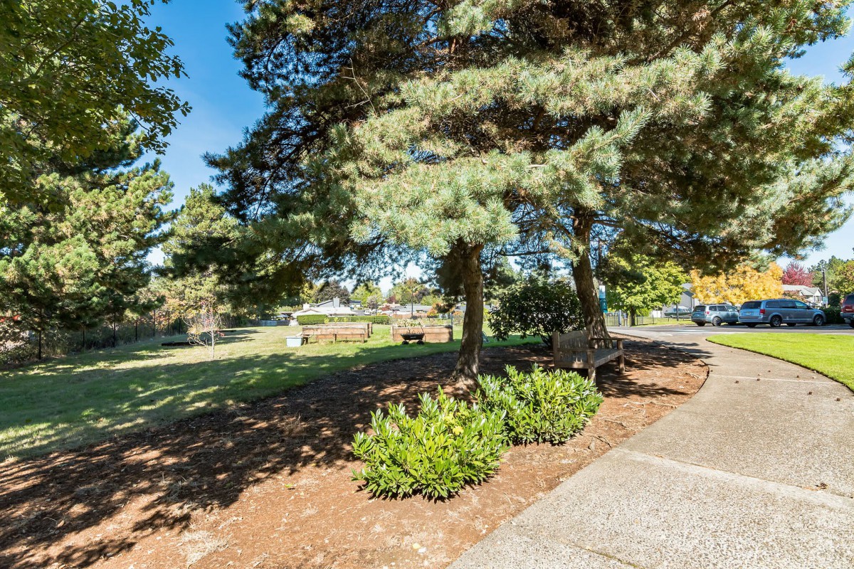 A peaceful park scene with trees, benches, and a sidewalk under a clear blue sky.