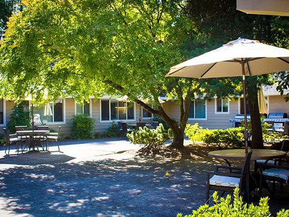 A peaceful patio area with chairs and a large umbrella providing shade under leafy trees.