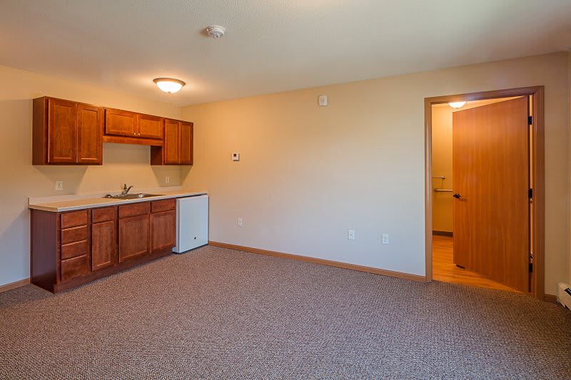 An empty apartment room with a kitchenette and carpeted flooring.