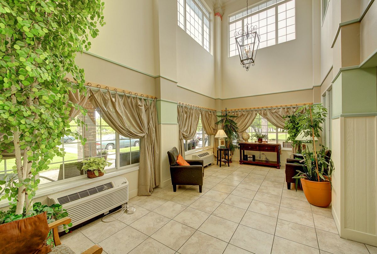 A spacious living room with abundant natural light, featuring large windows, elegant drapes, and lush green plants.