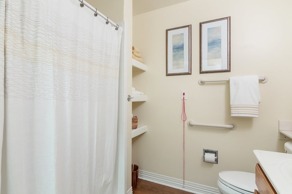 A small bathroom with a shower curtain, shelves, and framed pictures.