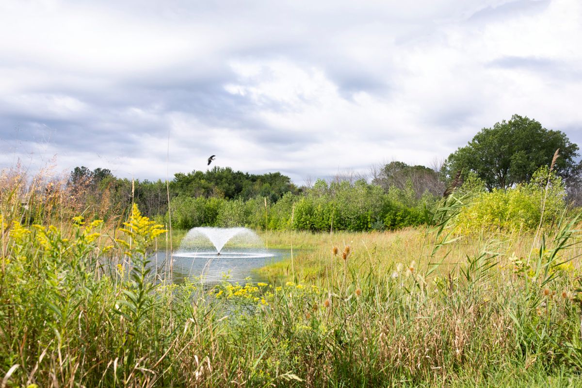 A serene pond with a fountain surrounded by wildflowers under a cloudy sky.