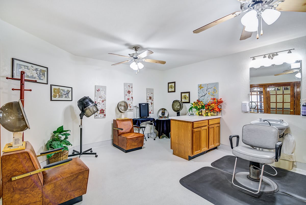 A cozy hair salon with multiple styling chairs, mirrors, and decorative plants.