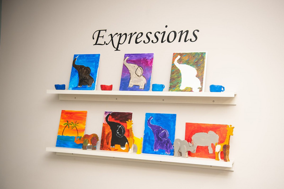 A display of colorful elephant paintings on shelves under the title 'Expressions'.