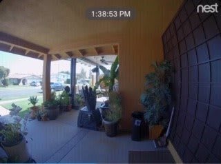 A sunny patio with various potted plants and outdoor decorations at 1:38 PM.