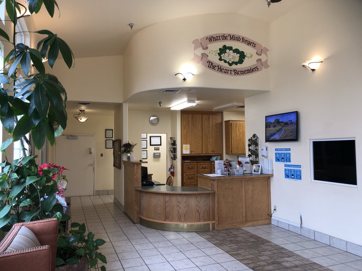 A welcoming reception area with a wooden desk, plants, and comfortable seating.