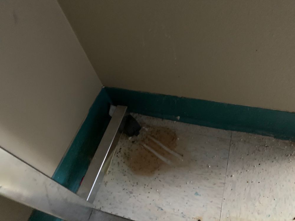 A small spill on the floor with a broom and dustpan nearby.