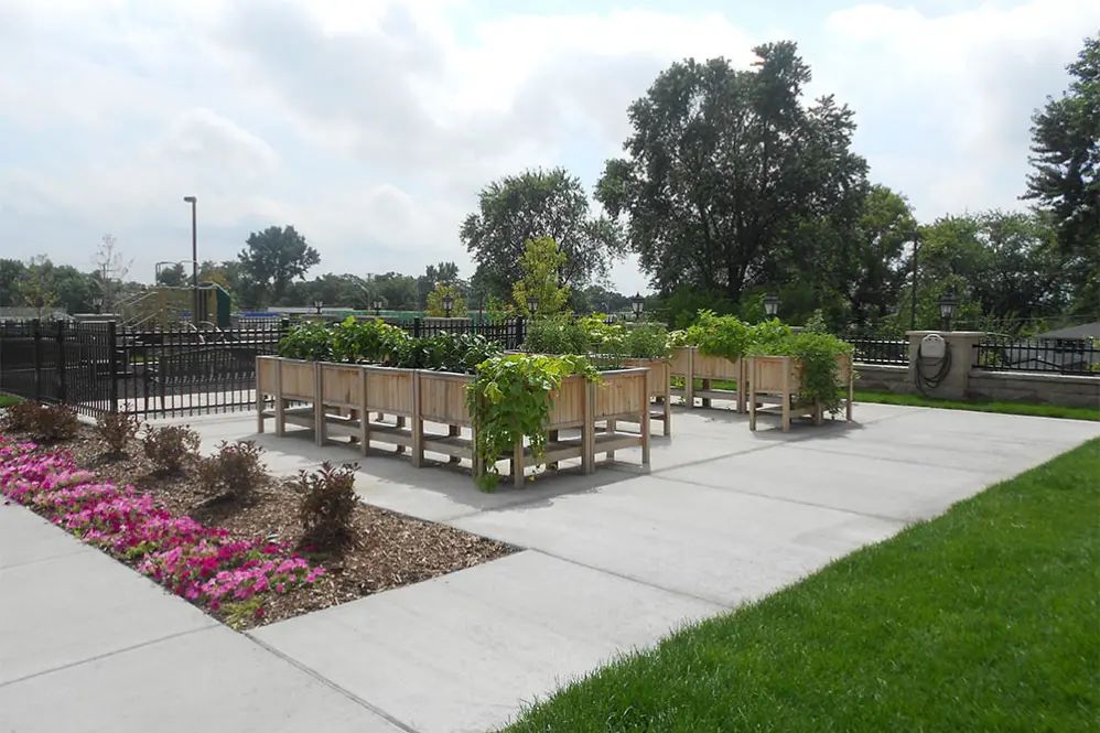 Raised garden beds in an urban outdoor setting.