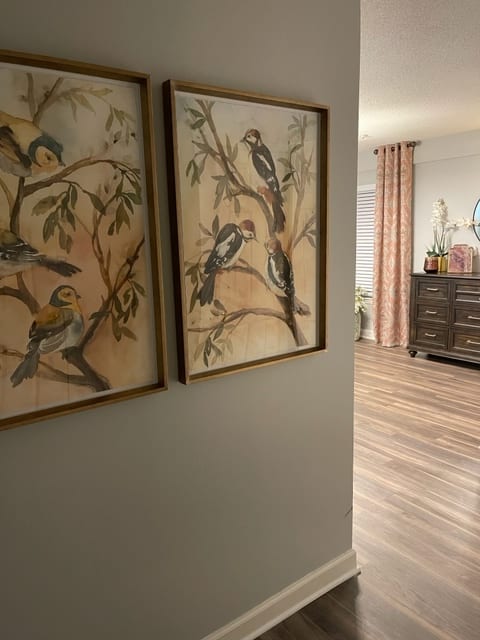 Framed bird paintings adorn the hallway wall, leading to a stylishly decorated room.