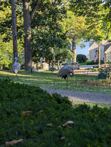 A peaceful scene featuring wild turkeys wandering along a picturesque pathway lined with trees.