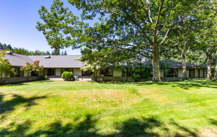 A suburban house surrounded by a large, green lawn and tall trees on a sunny day.