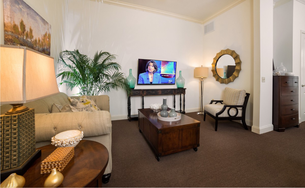 Cozy living room with modern decor, featuring a TV, sofa, and decorative elements.