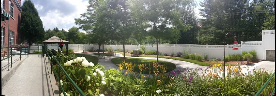 A serene garden with a winding pathway surrounded by trees and colorful flowers.