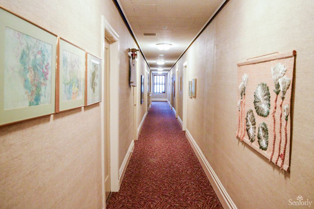 A well-lit hallway in a hotel, adorned with various pieces of artwork and featuring a red carpet.