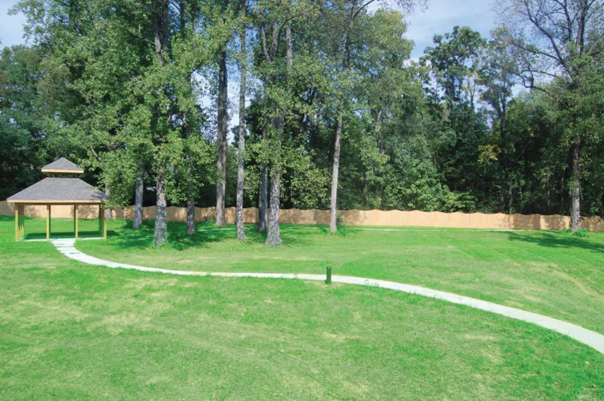 A grassy backyard with a pathway, surrounded by trees and a wooden fence.