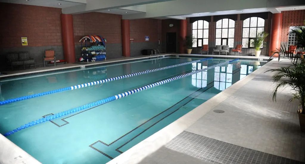 An indoor swimming pool with marked lanes and large windows.