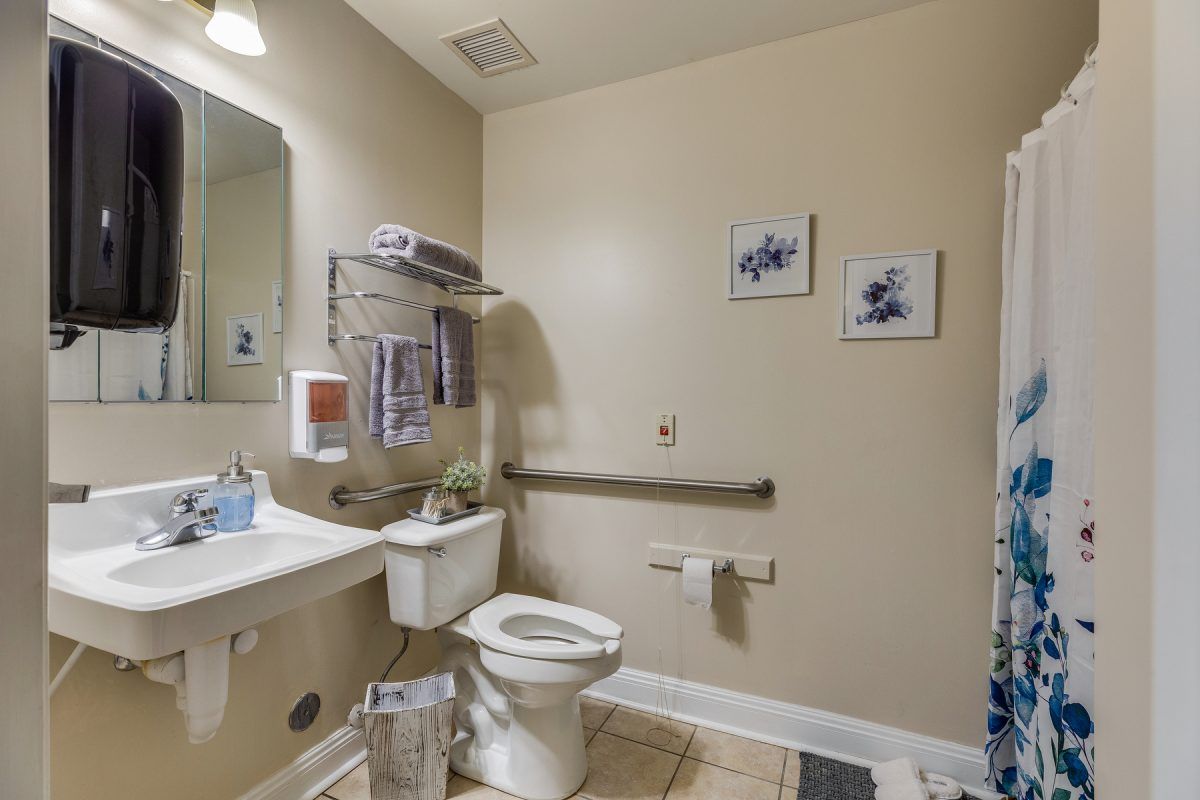 A clean and accessible bathroom with grab bars, a sink, and decorative elements.