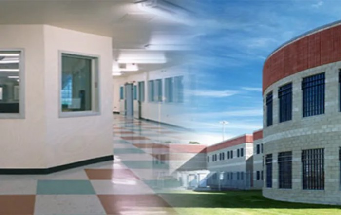 Dept Of State Hospitals - Metropolitan