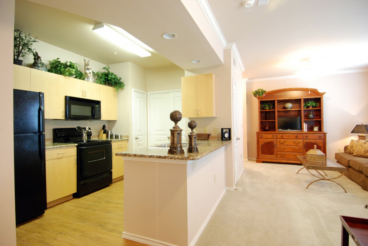 A modern open-plan kitchen and living area with wooden cabinets and a granite countertop.