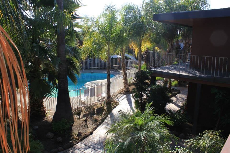 A serene outdoor pool area surrounded by lush palm trees and a secure fence.