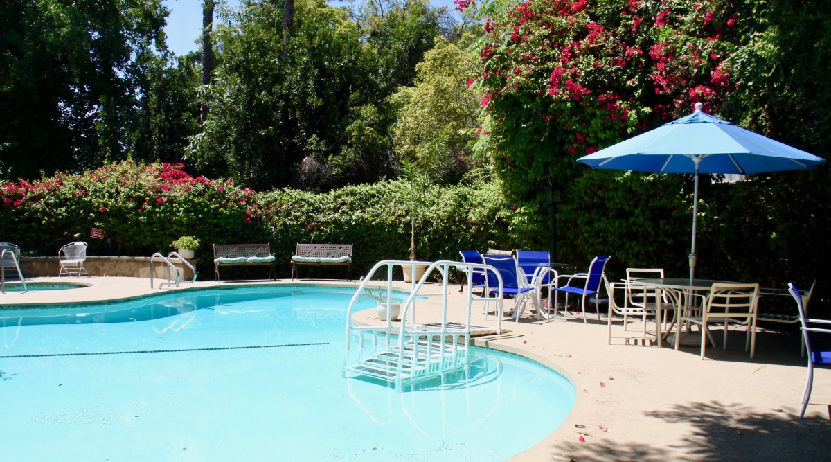 A tranquil outdoor swimming pool surrounded by lush greenery, featuring seating and a sun umbrella.